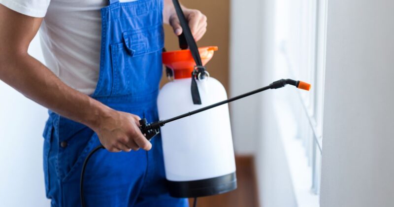 field service pest control services in Dallas