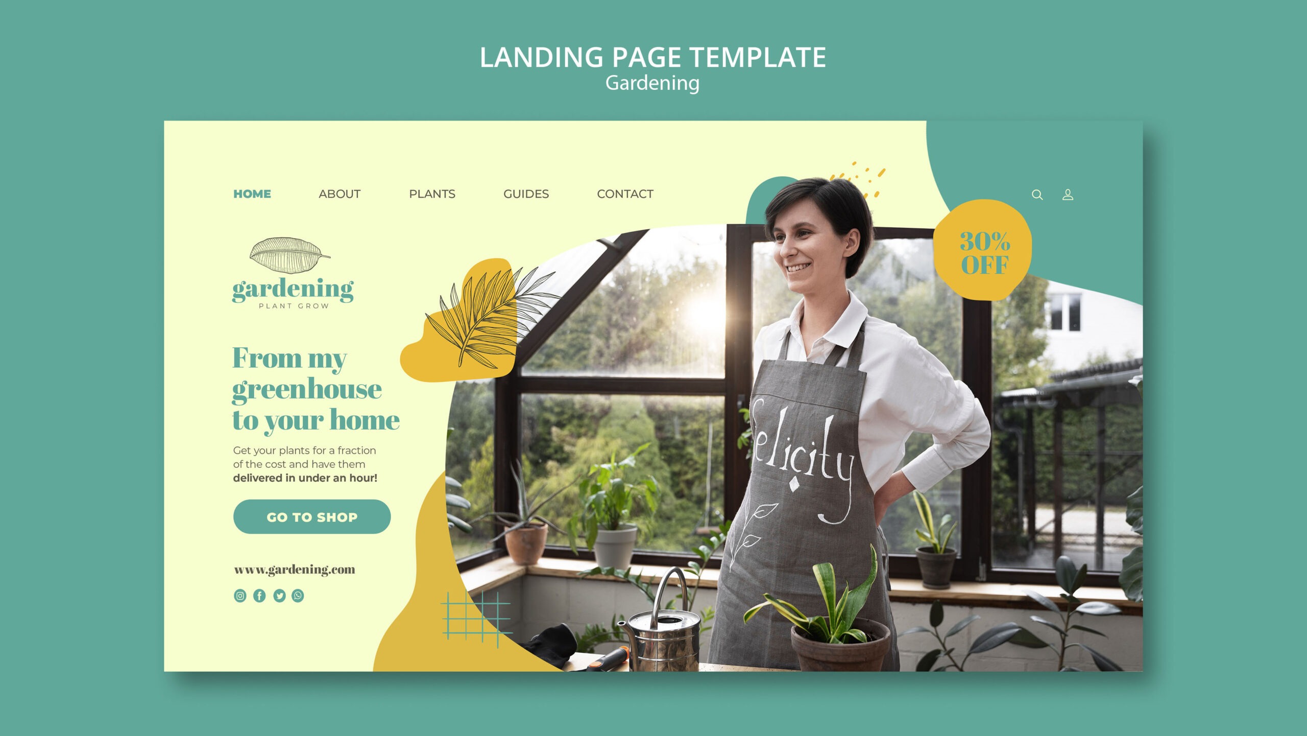 small business web design